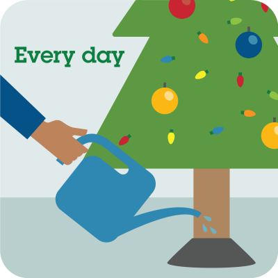 Water your Christmas tree every day. Keep your Christmas tree as least 3 feet away from heat sources like fireplaces, radiators, space heaters, candles and heat vents.