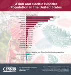 U.S. Census Bureau Graphic the Asian and Pacific Islander Population in the United States